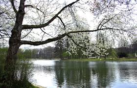 Similar to the preparation for previous la boum events. The History Of La Bois De La Cambre In 1 Minute