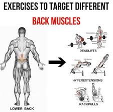 Used muscle cars for sale include some models from most ameri. Lower Back Exercises To Target Different Back Muscles 2 Yeah We Train Bodybuilding Ubungen Fitnessubungen Muskelaufbau