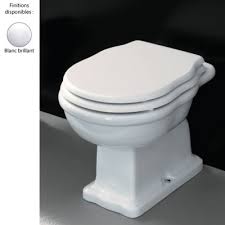 Large choix de toilettes disponibles. Cuvette Wc Retro Blanc Brillant Sortie Verticale Hermitage Ellade