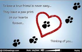 What to write in a sympathy card. Pet Loss Free Loss Of Pet Ecards Greeting Cards 123 Greetings Pet Loss Dog Sympathy Pet Remembrance