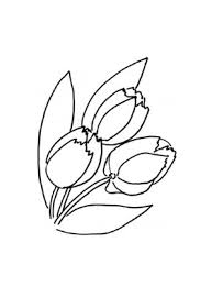 Ausmalbild Tulpen Zum Ausdrucken Und Ausmalen Ausmalbilder Malvorlagen Kindergarten Blumen Tulpen In 2020 Ausmalbilder Ausmalen Ausdrucken