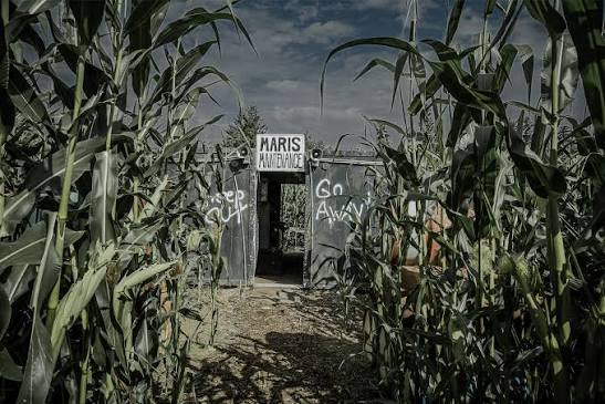 Haunted Woods at Maris Farms | Buckley WA
