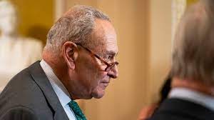 Grassroots Democratic group calls for Schumer to resign as minority leader