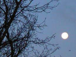 Sholawat berjudul padang bulan sendiri mulai dikenal masyarakat setelah dibawakan oleh pelantun qasidah kondang asal solo habib syech bin abdul qodir assegaf. Lirik Lagu Padang Bulan Dan Artinya Sholawat Habib Syech Fiqihmuslim Com