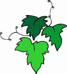 Image result for green leaf clip art