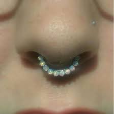 Get The Jewels For 20 At Amazon Com Wheretoget Septum Jewelry Septum Piercing Jewelry Piercing Jewelry