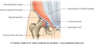 Labral tears in the shoulder can cause pain, instability of the joint, or. Epos Trade