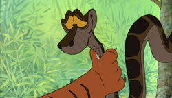 Still, enjoy this small & incomplete gift, you kaa fans. Kaa Disney Wiki Fandom