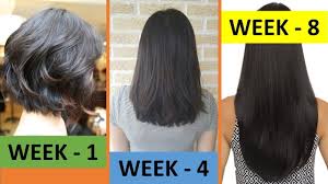 Regrow All Lost Hair In 8 Weeks Get New Hair No Hair Loss Fast Hair Growth Muskaan Hamad Hair Growth Foods Olive Oil Hair Growth Longer Hair Growth