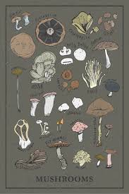 Pin On Arte Inspo