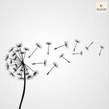 Check spelling or type a new query. Dandelion Svg 6 Paardebloem Paardenbloem Tekening Muurstickers