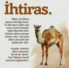 Ihtiras Ruhsal Buyume Bilgelik Alintilari Inanc Sozleri