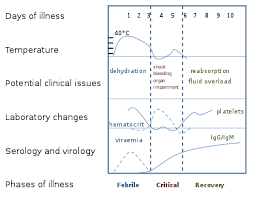 dengue fever wikipedia