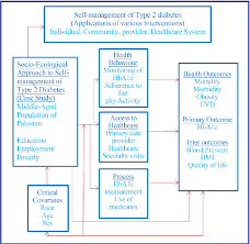 Conceptual Framework Of Self Management Of Type 2 Diabetes