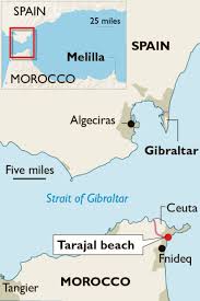 Balearia operates 2 routes, nador to. 4lkufynwrok4em