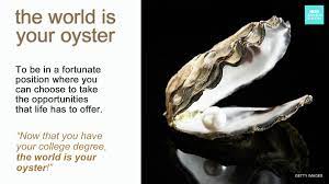 We did not find results for: English Is Funtastic Idiom The World Is Your Oyster