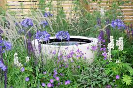 Purple flowering bush identification uk. Best Garden Plants For Year Round Colour All Year Round Plants