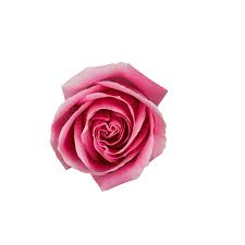 More than 1000 free and premium ajax loader (loading animated gif, svg and apng) spinners, bars and 3d animations generator for ajax and jquery flower loading animation. Transparent Flower Animated Gif Novocom Top