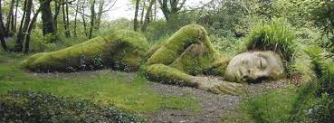 Bizarre Vous Avez Dit Bizarre Paysage Insolite Idee Voyage Jardin Extraordinaire