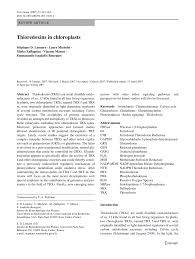 Contextual translation of che cosa slang into english. Pdf Thioredoxins In Chloroplasts
