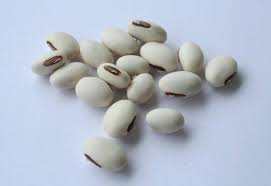 Image result for Canavalia