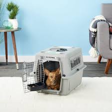 Petmate Sky Kennel Small Chewy Com