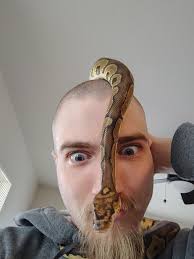 unsure of my bp morph any ideas?got from reptile shop as firefly bp