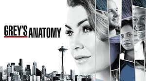 Hbo max will get exclusive access to 10 warner bros. Grey S Anatomy Season 17 Omu Amazon De Prime Video