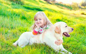 Are Labrador Retrievers Good With Kids Dogs Whisperer