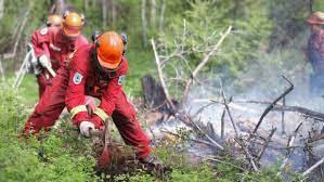 Things are drying out, points out fire information officer hannah swift. B C Wildfire Service Expects Crush Of Applications Following Busy Year Cbc News