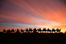They offer a camel experience that can't be beaten anywhere in australia, with the world heritage area of uluru and kata tjuta as our stunning. Uluru Camel Tours Green Travel Guide