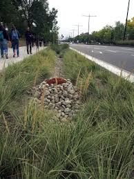 Jardin De Pluie De Dominika Cerepkaiova Du Tableau Dazdove Zahrady Architecture Paysage Ville Verte