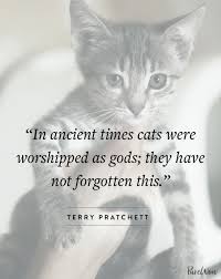 12 Cat Quotes That Feline Fans Will Totally Get