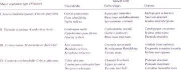 Image result for Setaria lindenbergiana