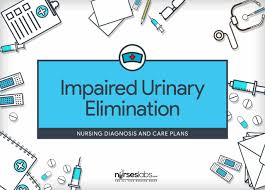 Reflect on the material by asking yourself questions, for example: Impaired Urinary Elimination Nursing Diagnosis Care Plan Nurseslabs