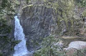 Best forest trails in Otis