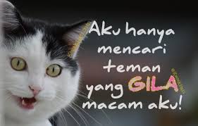 Pin Di Persahabatan Sahabat Kawan Teman