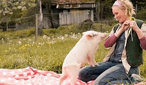 Die produktion basiert auf einem drehbuch der autorin andrea sixt, die bereits den gleichnamigen bestseller (1998) schrieb, und erzählt von drei berufstätigen frauen unterschiedlichen alters, die in ihrer streng katholischen gemeinde im bayerischen wald eine sexhotline gründen um der pleite ihres. Eine Ganz Heisse Nummer 2 0 Info Trailer Filmclicks