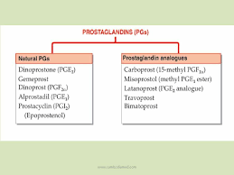 Pin By Cristina Minguillon On Chemistry Pharmacology Medical Facts Endocrine System
