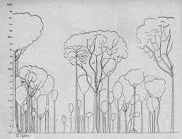 Image result for Thomandersia laurentii