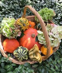 Zierkurbis Herbstdeko Kurbis Deko Ideen