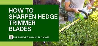 2 how to sharpen hair clippers without using stone. How To Sharpen Hedge Trimmers Using A Dremel Mill File Or Grinder