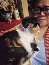 The Rainbow Bridge 🌈