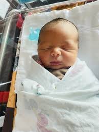 Haley Elder's Instagram, Twitter & Facebook