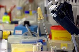 Doppelstudium Molekulare Medizin In Jena Mein Studienort Via Medici