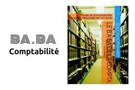 Ba-ba De La Comptabilite Pour Les Nuls Pdf Gratuit Economie Et Gestion
