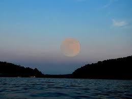 What a nice place that we been through. Super Moon At Sugarloaf Party Cove At Greers Ferry Lake Arkansas Arkansas Travel Adventure Is Out There Scenic