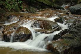 Perkelahan Di Sungai Tekala Lepak Com My