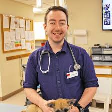 Call or visit our site now! Our Team In Kane County Il Dundee Animal Hospital