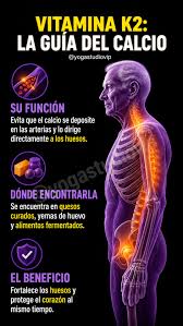 La vitamina K2 es clave para dirigir el calcio a los huesos y evitar que se  acumule en las arterias. Un nutriente esencial para mantener huesos fuertes  y un corazón sano. 🦴❤️